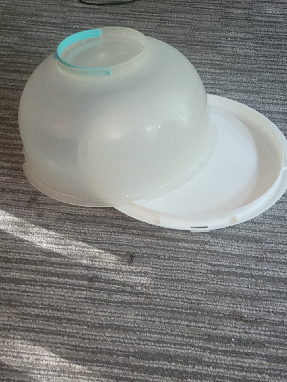 Cake Carrier With Cake Boards - Clear with Aqua Handle